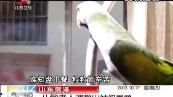 国产人妖调教男奴视频,揭秘隐秘的欲望世界