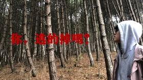 国产自制恐怖短视频