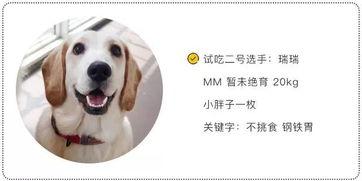 动物奶油国产测评视频播放,品质与口感的双重体验